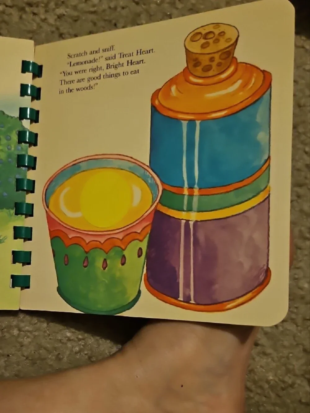 The Care Bear Cousins Visit The Woods Cardboard Childrens Book Vintage 1985